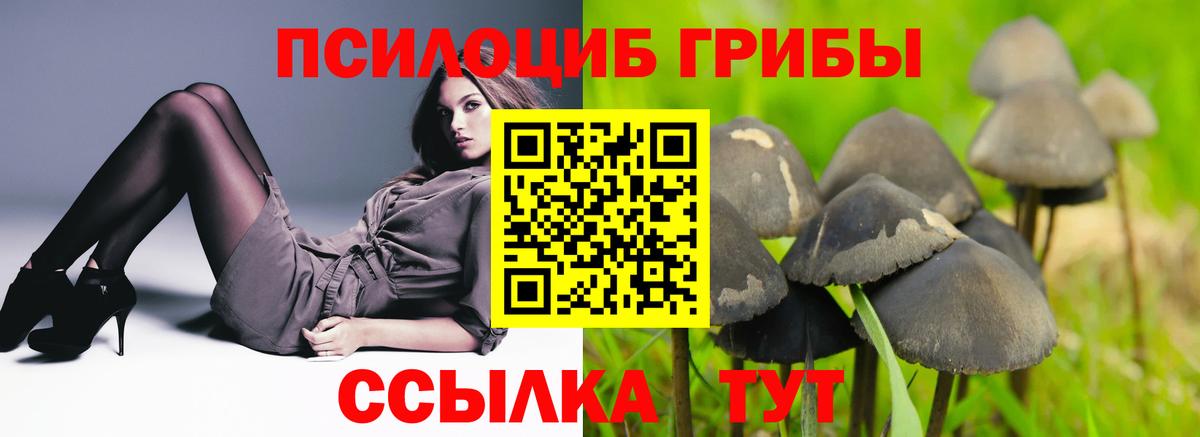 Псилоцибиновые грибы ЛСД  Вход с VPN  Красноармейск 